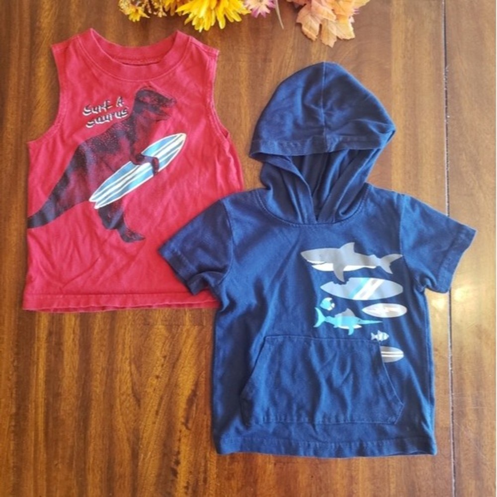 🔥4/15🔥 Toddler Shirt Size 18 Months Sleeveless Hooded T-shirt Bundle